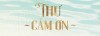 thư cảm ơn